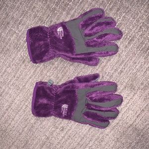 The North Face Gloves